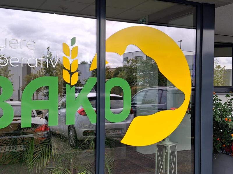 Spontanbewerbung - Karriere