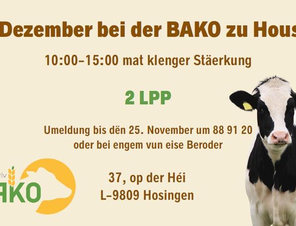 Weiterbildung bei der BAKO