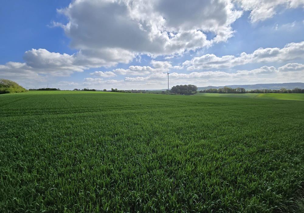 Getreideanbau - Produkte